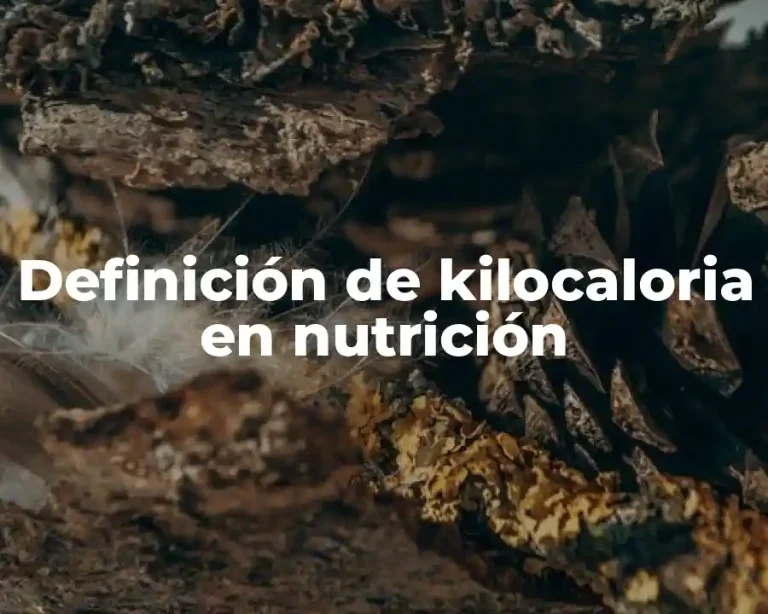 Definición de kilocaloria en nutrición