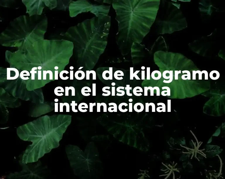 Definición de kilogramo en el sistema internacional