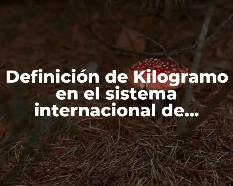 Definición de Kilogramo en el sistema internacional de unidades