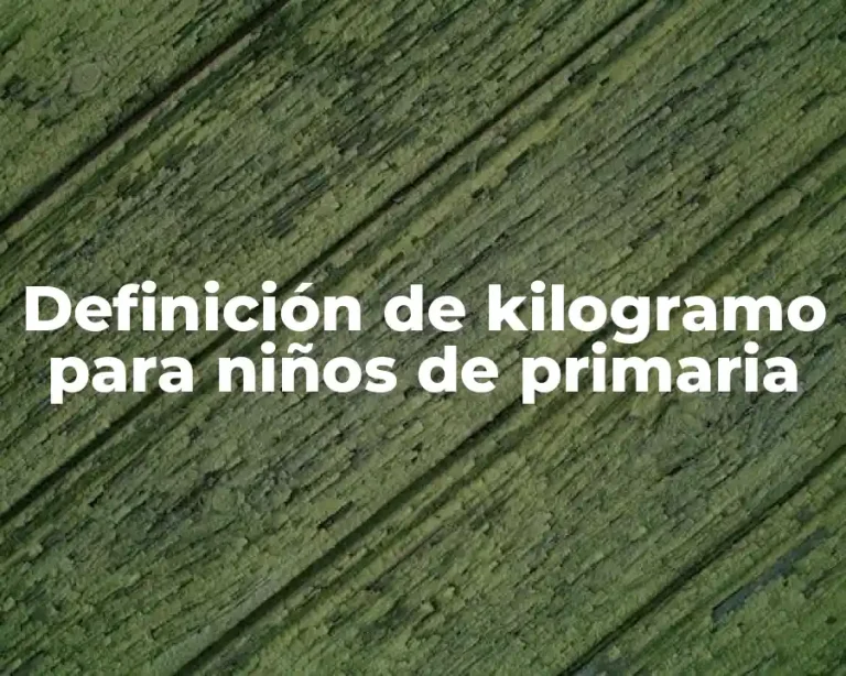 Definición de kilogramo para niños de primaria