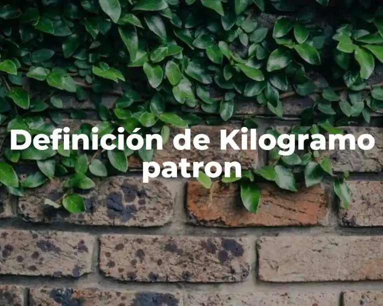 Definición de Kilogramo patron