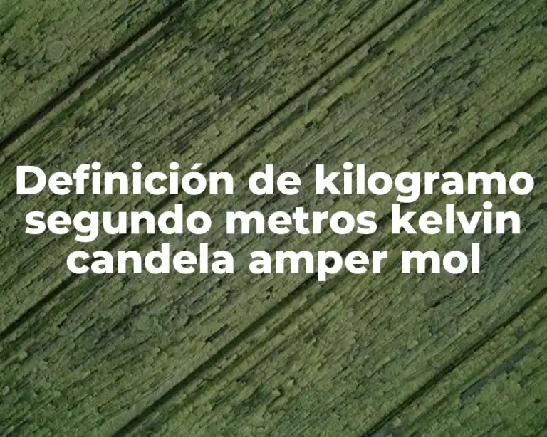 Definición de kilogramo segundo metros kelvin candela amper mol