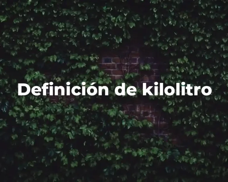 Definición de kilolitro