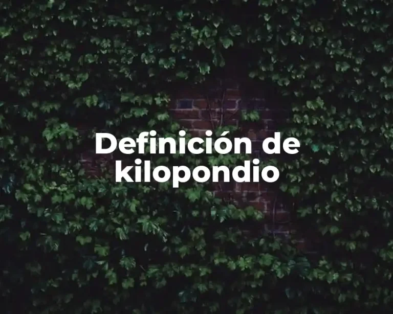 Definición de kilopondio