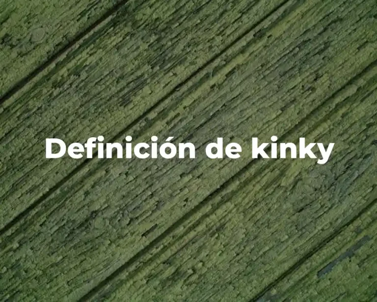 Definición de kinky