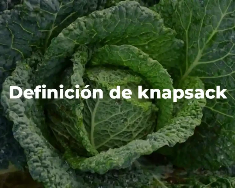 Definición de knapsack
