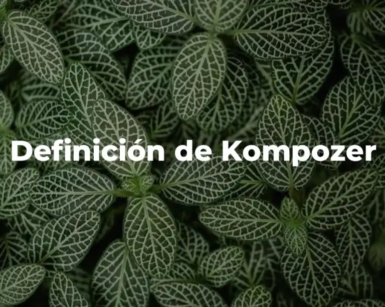 Definición de Kompozer