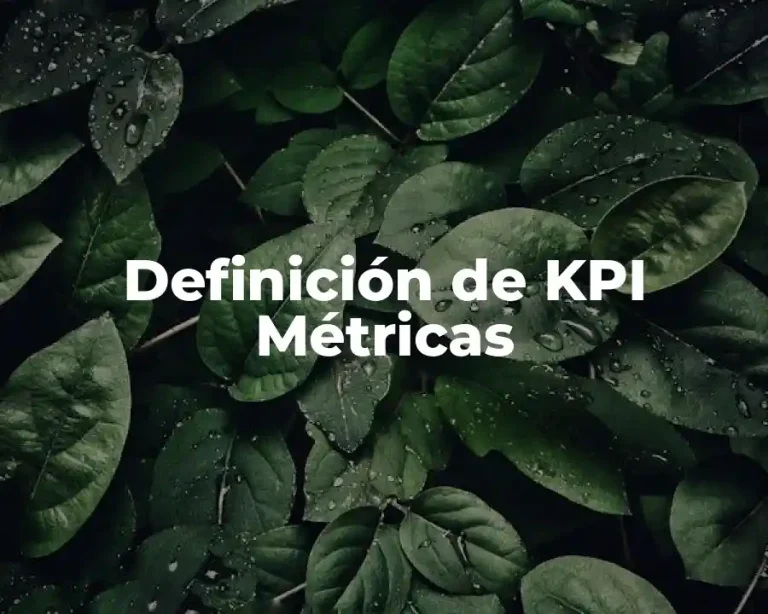 Definición de KPI Métricas