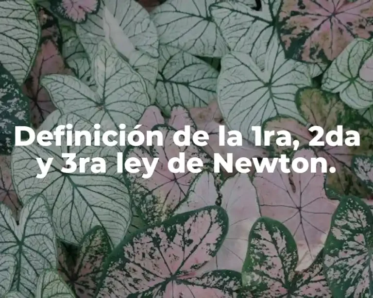Definición de la 1ra, 2da y 3ra ley de Newton.