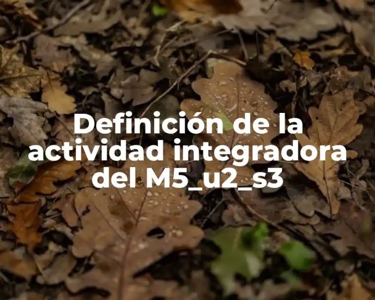 Definición de la actividad integradora del M5_u2_s3