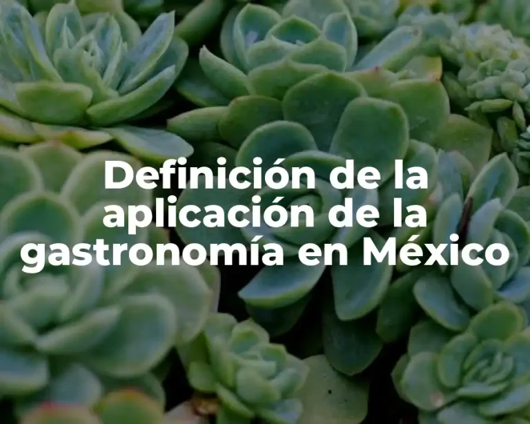 Definición de la aplicación de la gastronomía en México