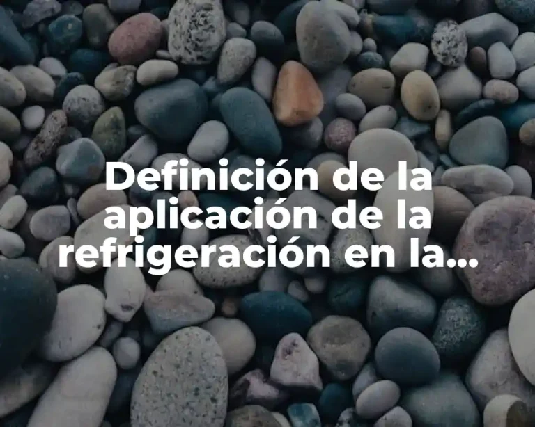 Definición de la aplicación de la refrigeración en la industria