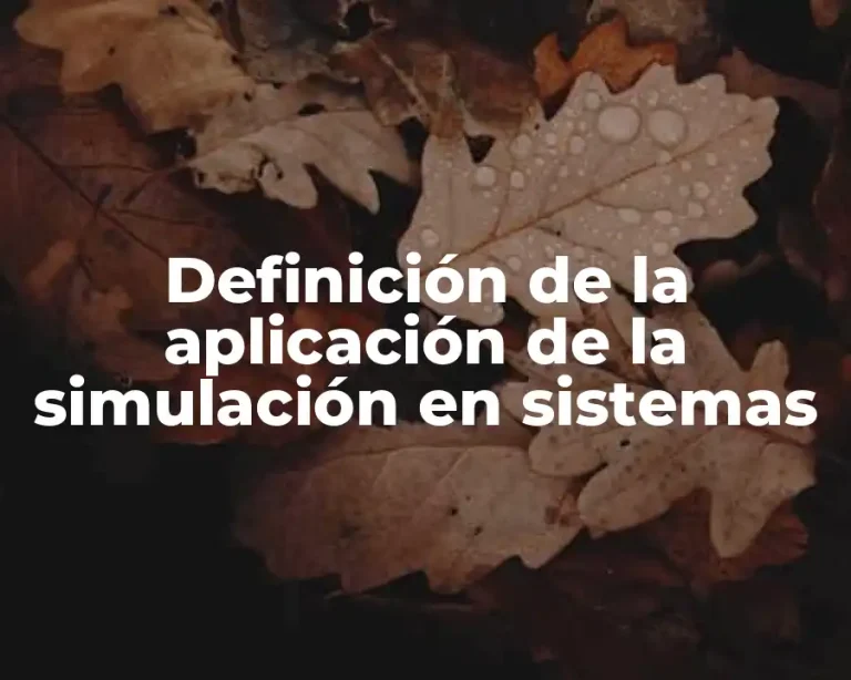 Definición de la aplicación de la simulación en sistemas
