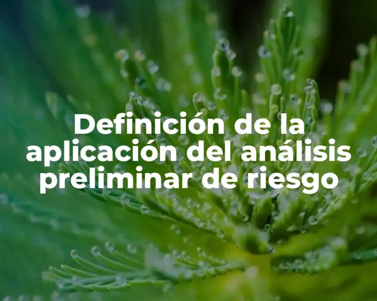 Definición de la aplicación del análisis preliminar de riesgo