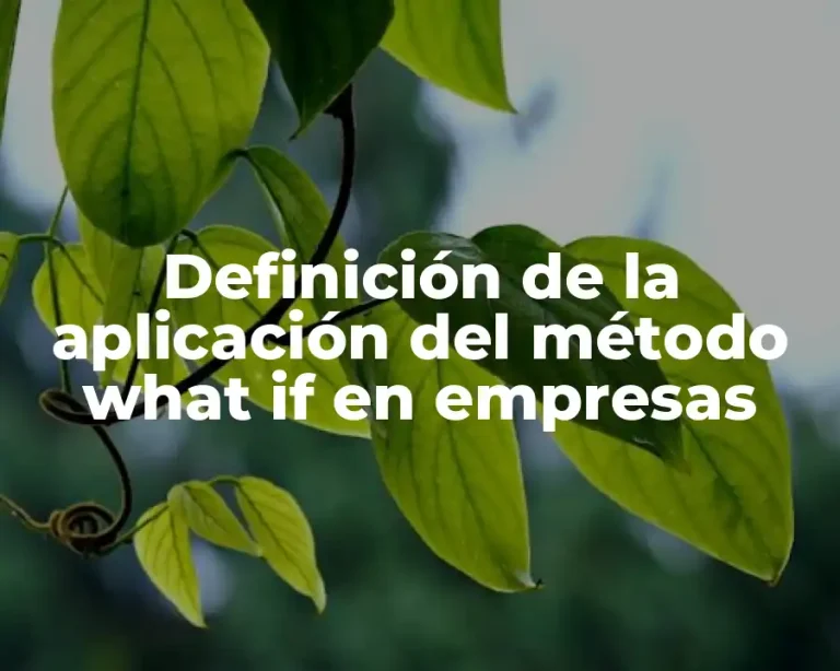 Definición de la aplicación del método what if en empresas