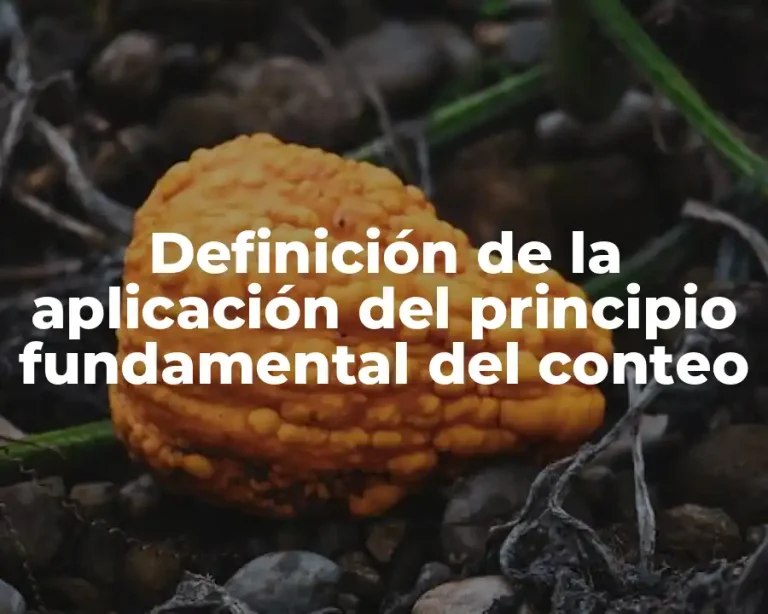 Definición de la aplicación del principio fundamental del conteo