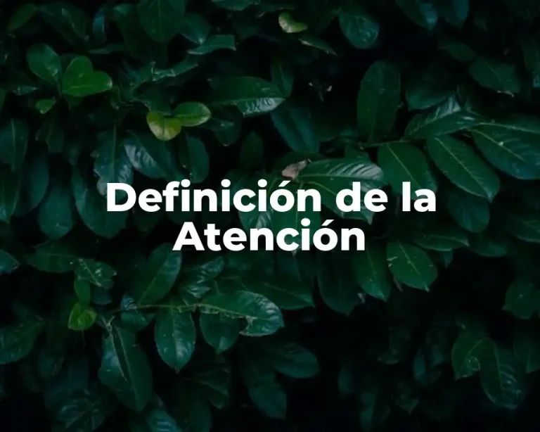 Definición de la Atención