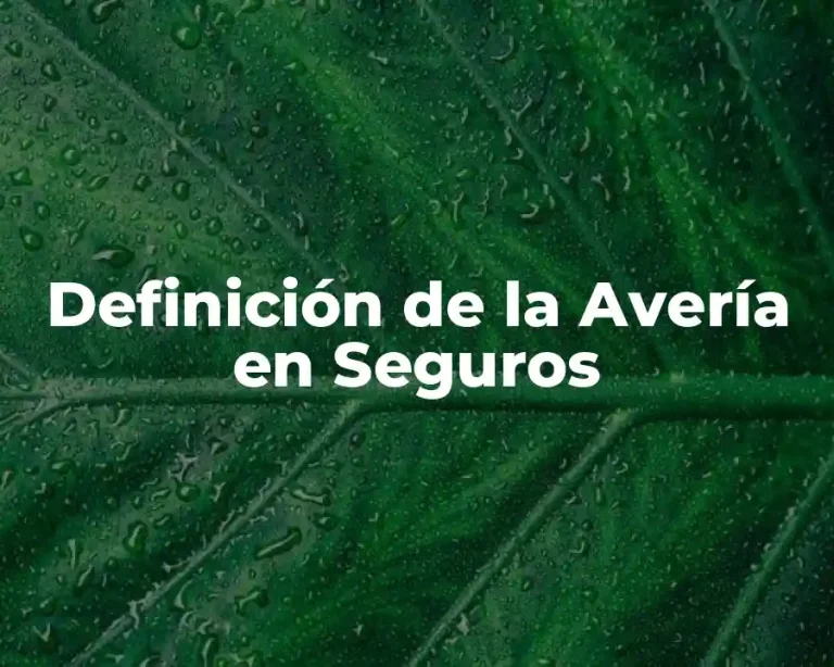 Definición de la Avería en Seguros