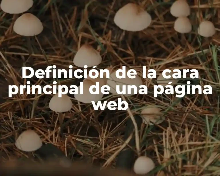 Definición de la cara principal de una página web