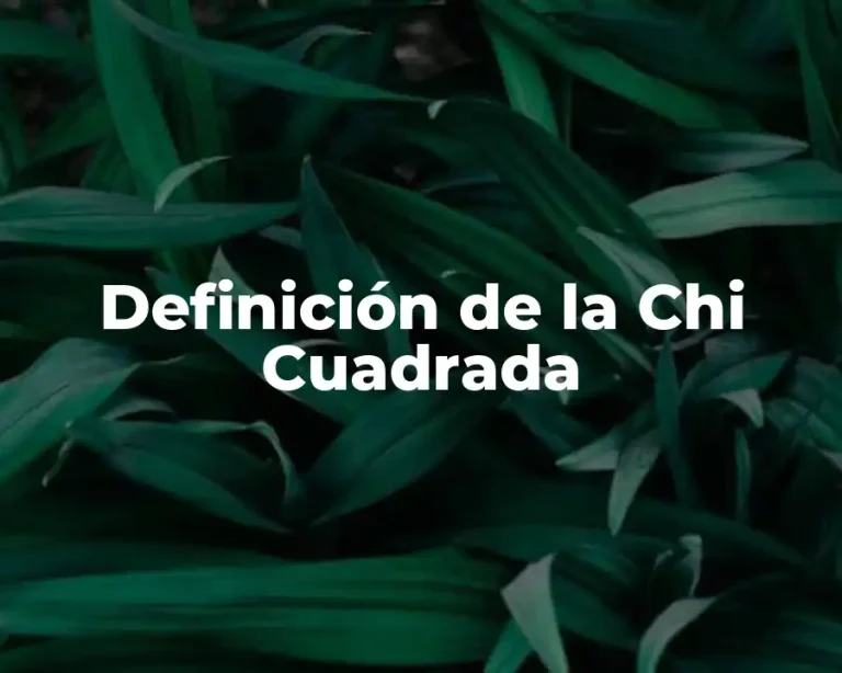 Definición de la Chi Cuadrada