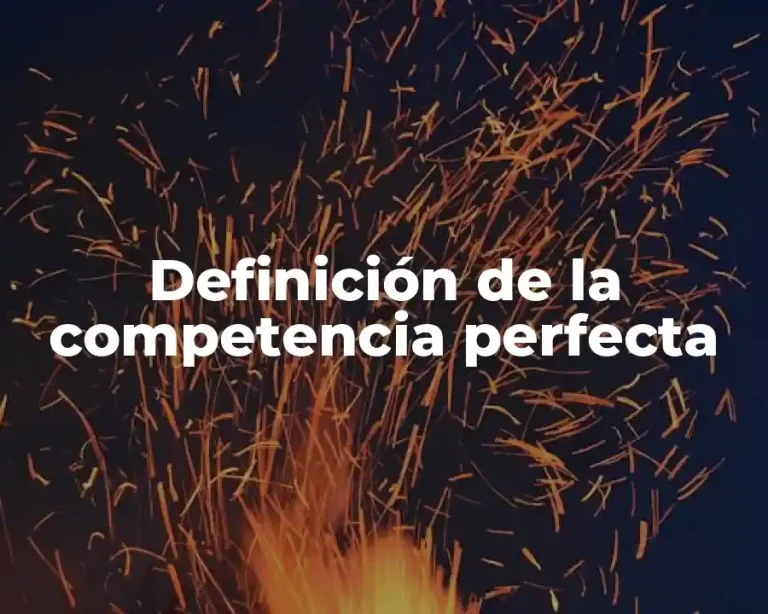 Definición de la competencia perfecta