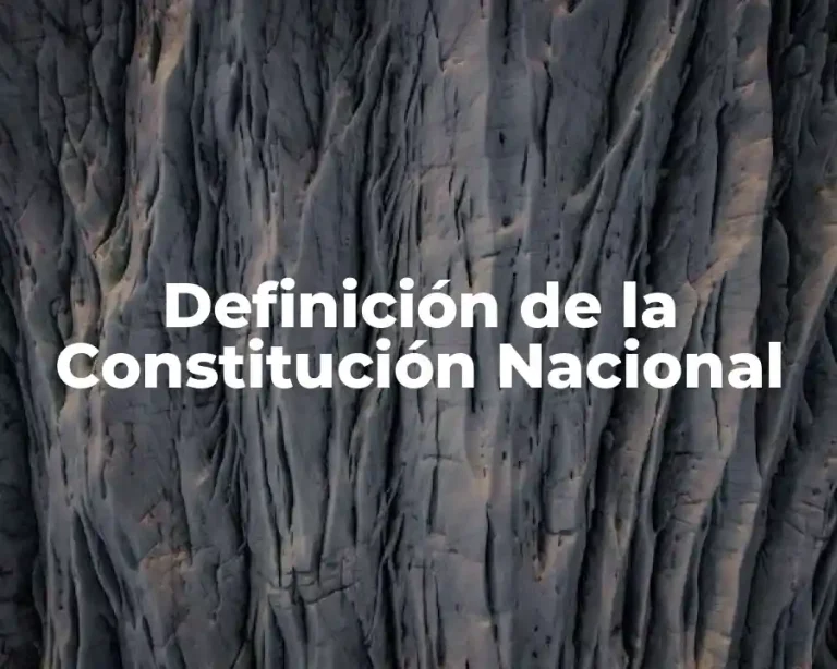 Definición de la Constitución Nacional