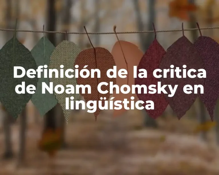 Definición de la critica de Noam Chomsky en lingüística