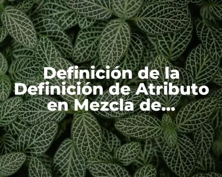 Definición de la Definición de Atributo en Mezcla de Mercadotecnia