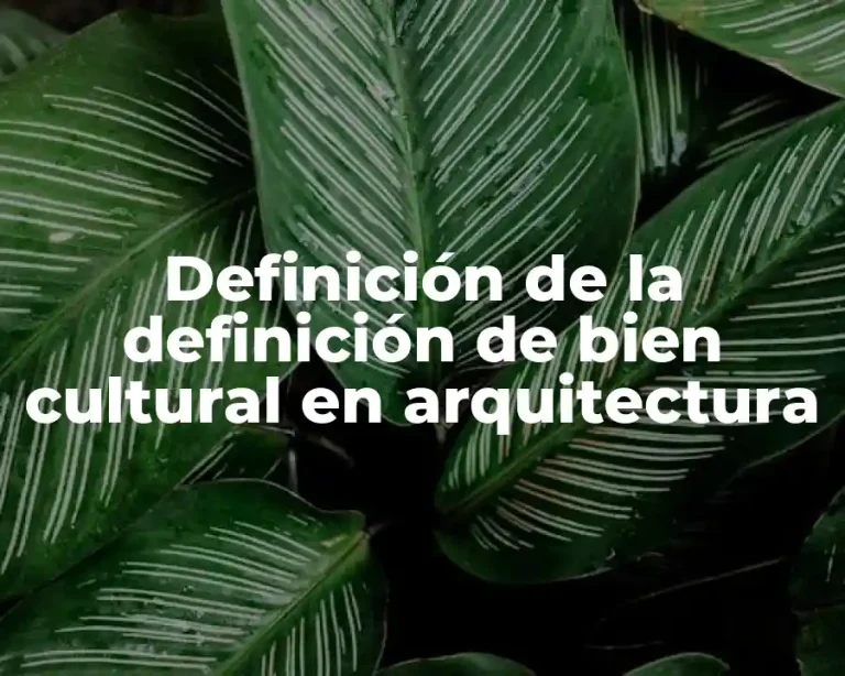 Definición de la definición de bien cultural en arquitectura