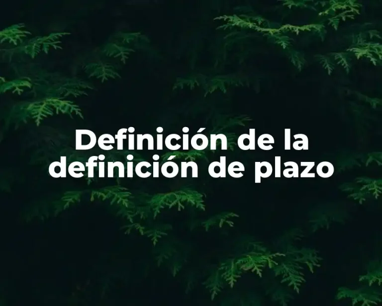 Definición de la definición de plazo