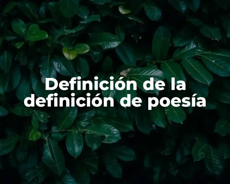 Definición de la definición de poesía