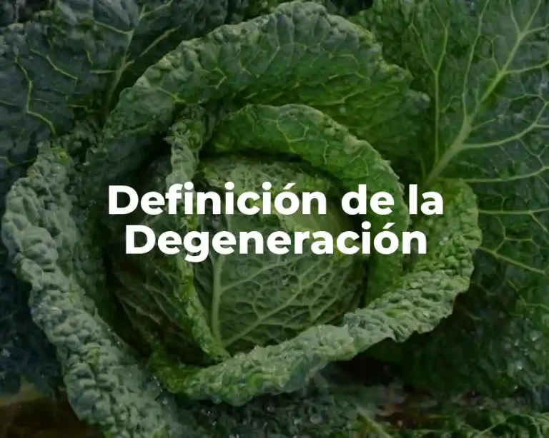 Definición de la Degeneración