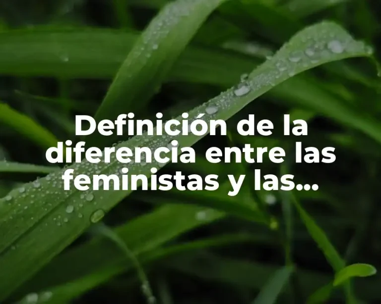Definición de la diferencia entre las feministas y las feminazis