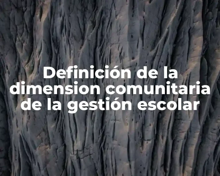 Definición de la dimension comunitaria de la gestión escolar