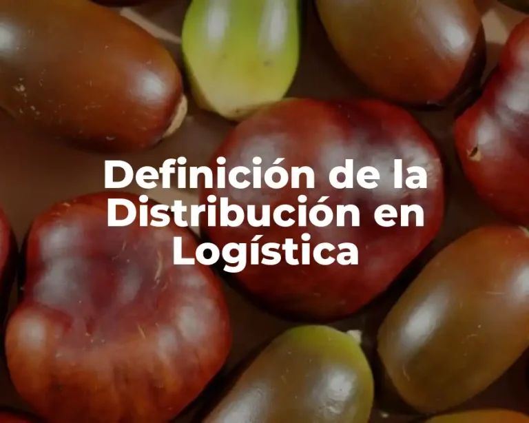 Definición de la Distribución en Logística