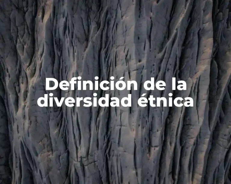 Definición de la diversidad étnica