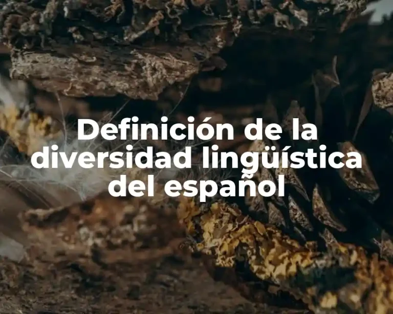 Definición de la diversidad lingüística del español