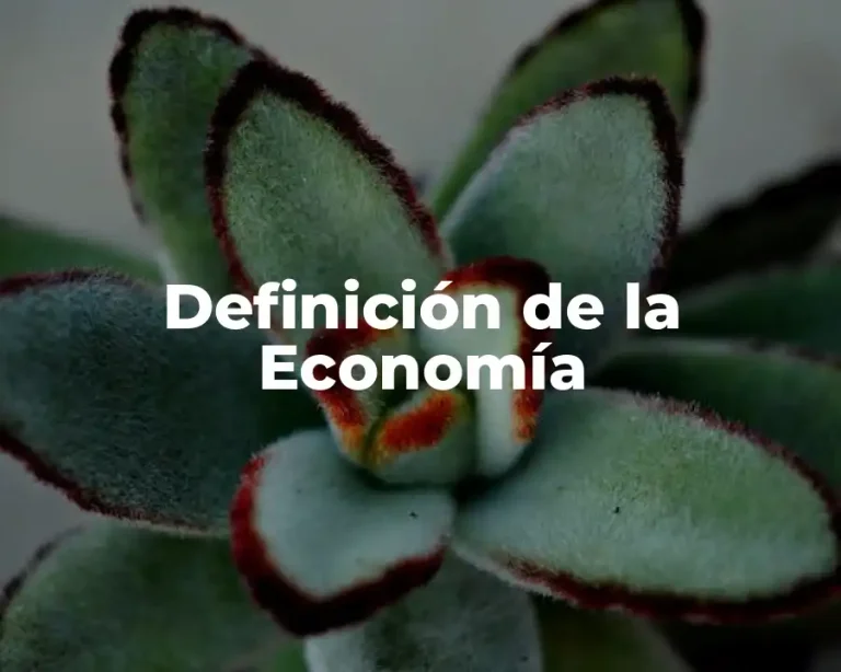 Definición de la Economía