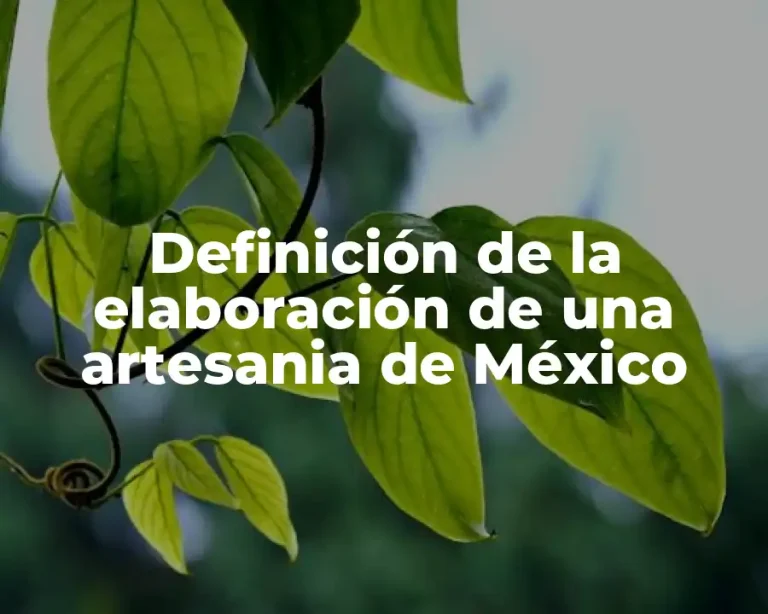 Definición de la elaboración de una artesania de México