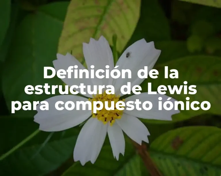 Definición de la estructura de Lewis para compuesto iónico