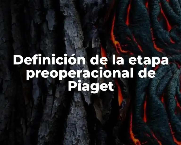Definición de la etapa preoperacional de Piaget