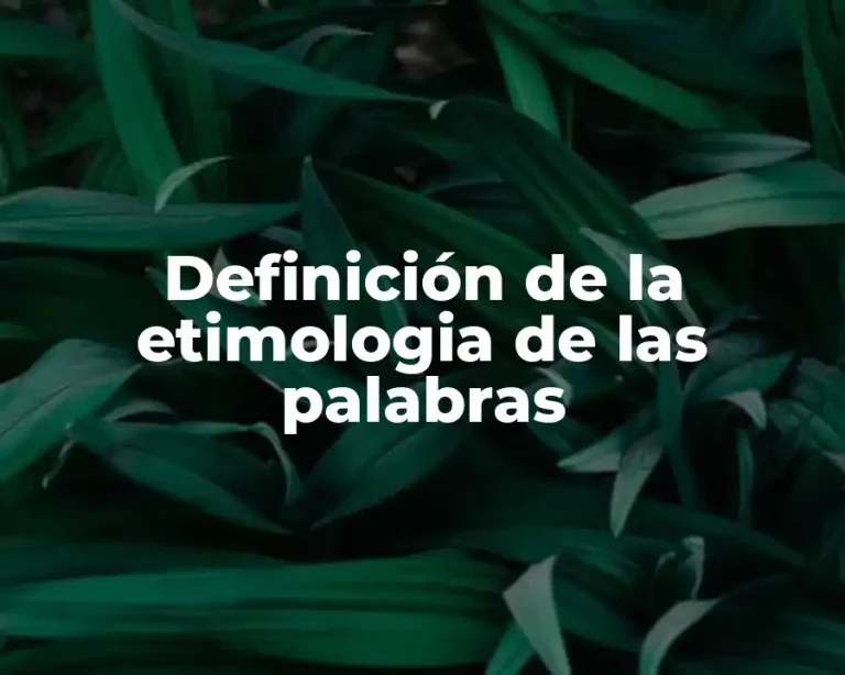 Definición de la etimologia de las palabras