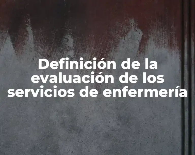 Definición de la evaluación de los servicios de enfermería
