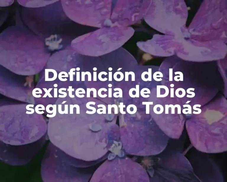 Definición de la existencia de Dios según Santo Tomás