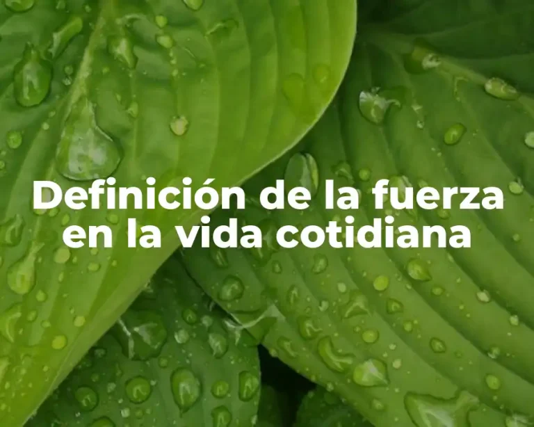 Definición de la fuerza en la vida cotidiana