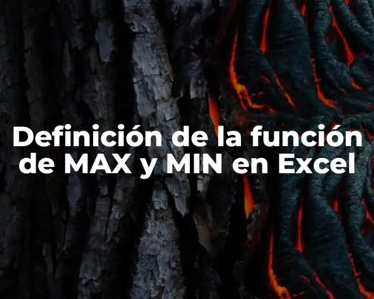 Definición de la función de MAX y MIN en Excel