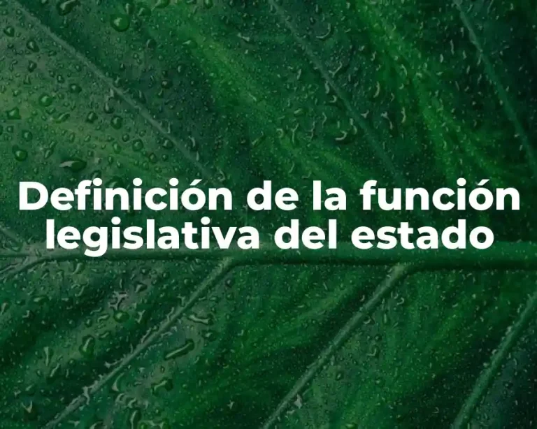 Definición de la función legislativa del estado