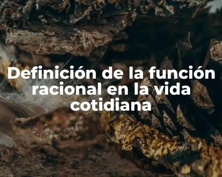 Definición de la función racional en la vida cotidiana