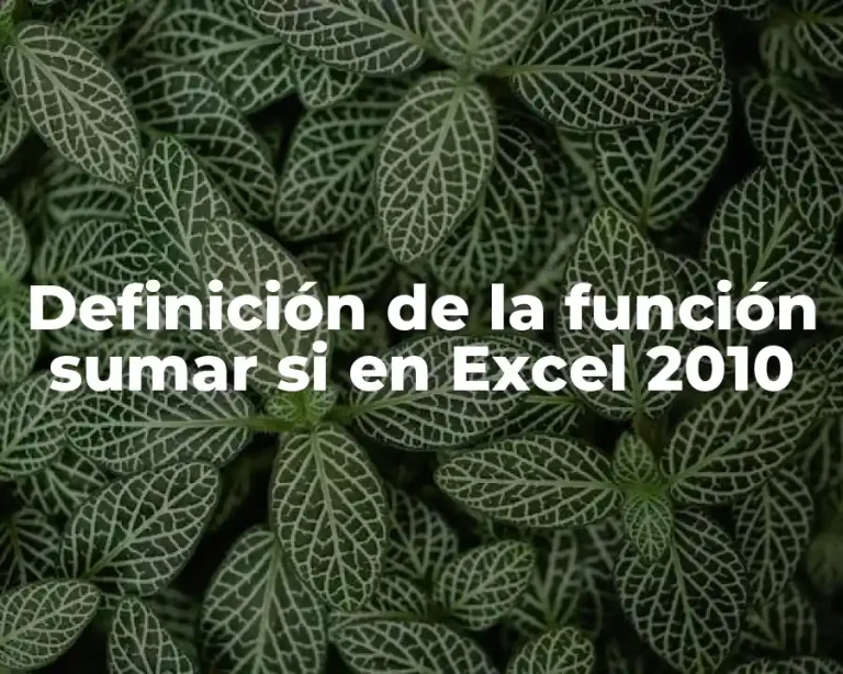Definición de la función sumar si en Excel 2010