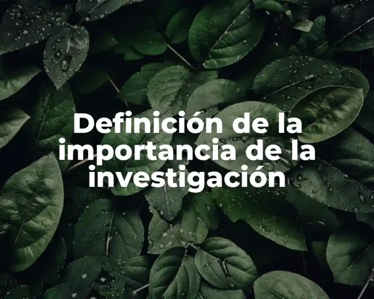 Definición de la importancia de la investigación